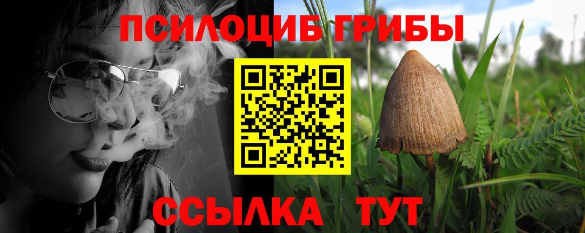 Галлюциногенные грибы ЛСД Белая Калитва